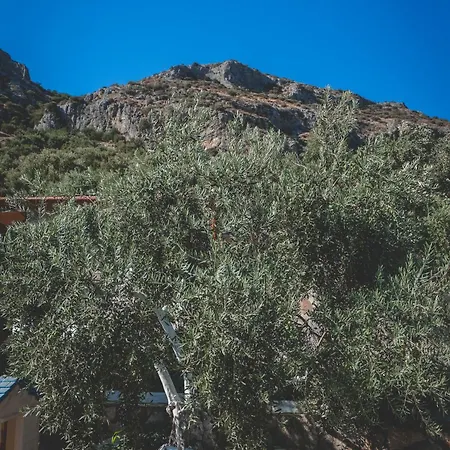Lägenhetshotell Natureland Efes