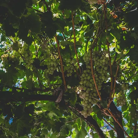 Natureland Efes Apart-hotel