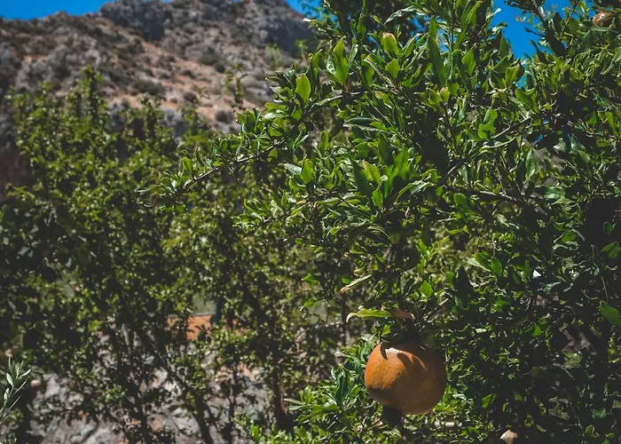 Natureland Efes 3* Selçuk