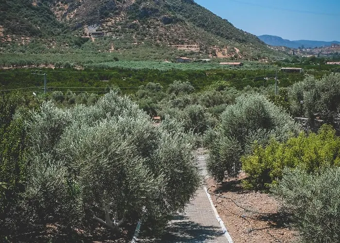 Natureland Efes Aparthotel Selçuk