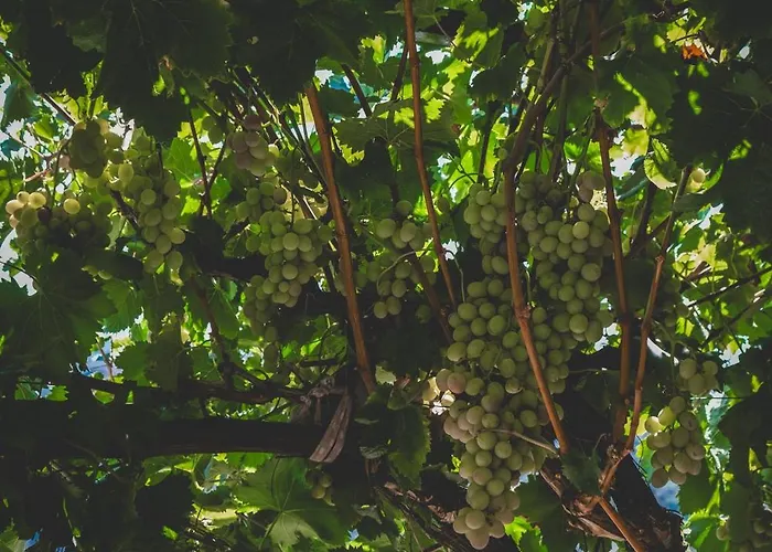 Natureland Efes Aparthotel