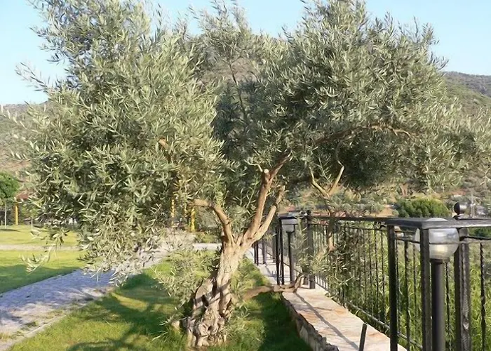 Aparthotel Natureland Efes Selçuk