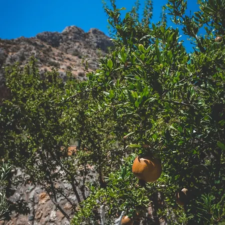 Natureland Efes 3* Selçuk