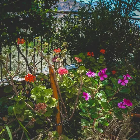 Natureland Efes Apartmanhotel