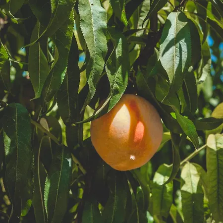 Natureland Efes Apartmanhotel 3*