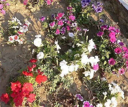 Apartahotel Natureland Efes