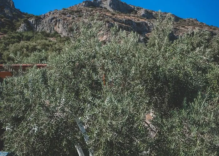 מלון דירות Natureland Efes