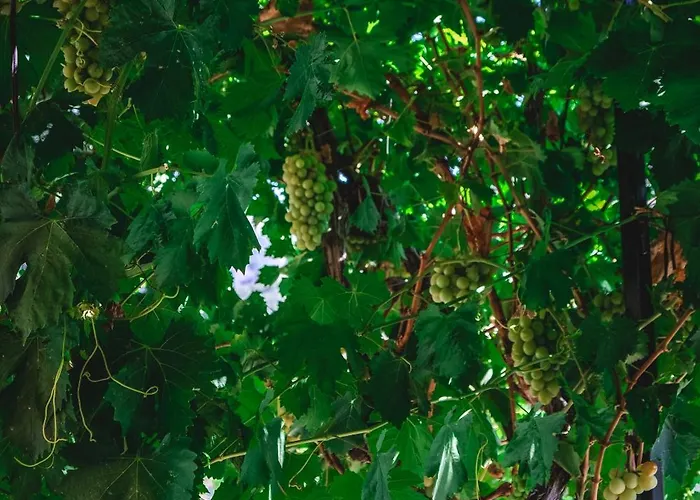 Natureland Efes Apart-hotel 3*