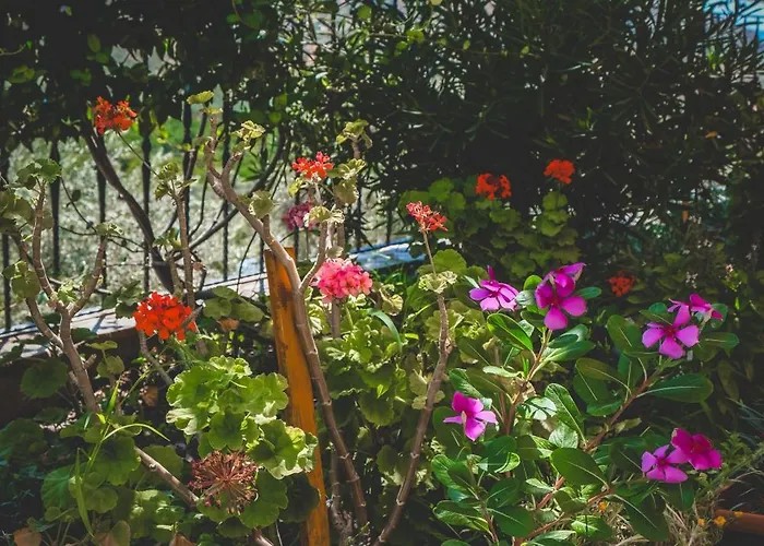 Natureland Efes Apart-hotel