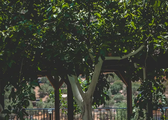 Natureland Efes מלון דירות סלצ'וק