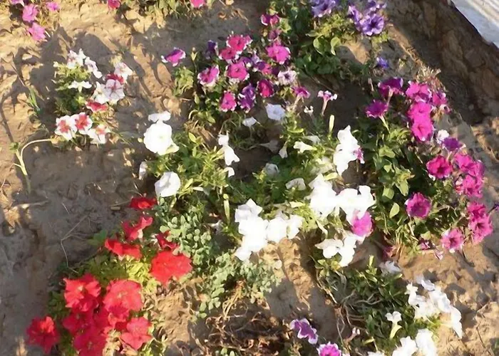 Natureland Efes Apart-hotel Selçuk